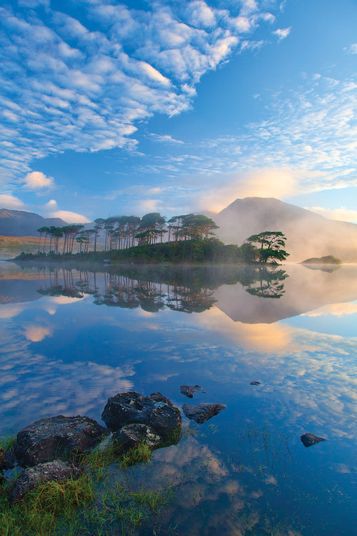 East Urban Home Misty Morning Reflection By Gareth Mccormack Photographic Print On Wrapped Canvas Wayfair