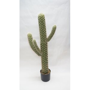 Saguaro Cactus Faux Plant in Pot