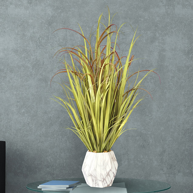 Wallpaper George Oliver Onion Desktop Grass In Decorative Vase Wayfair Free HD