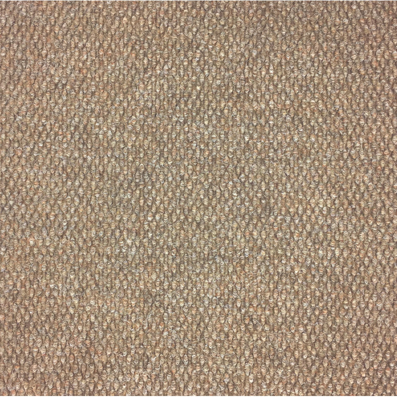 Portico Champion 20 X 20 Multi Level Loop Carpet Tile Wayfair