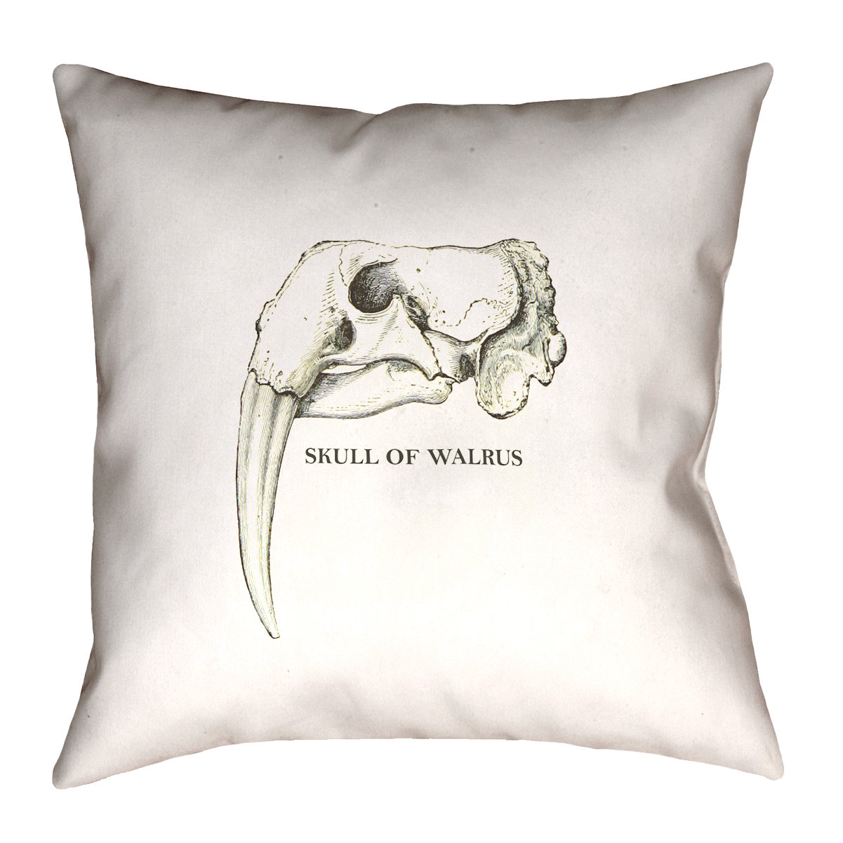 17 Stories France Walrus Skull Throw Pillow Wayfair