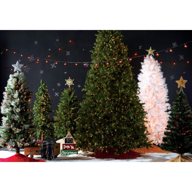 The Holiday Aisle Fiber Optic Green Spruce Artificial Christmas Tree With 200 Multi Color Lights Reviews Wayfair