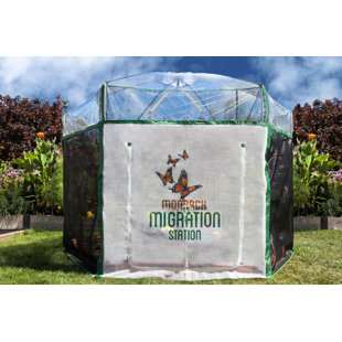 Tool-Free Classic Sienna 8 ft x 7 ft Pro Butterfly Learning Center