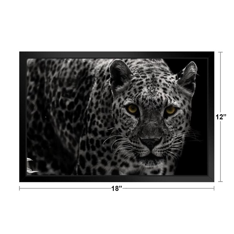 Framed Print Black & White Giraffe Picture Wild Animal Lion Tiger Leopard Art
