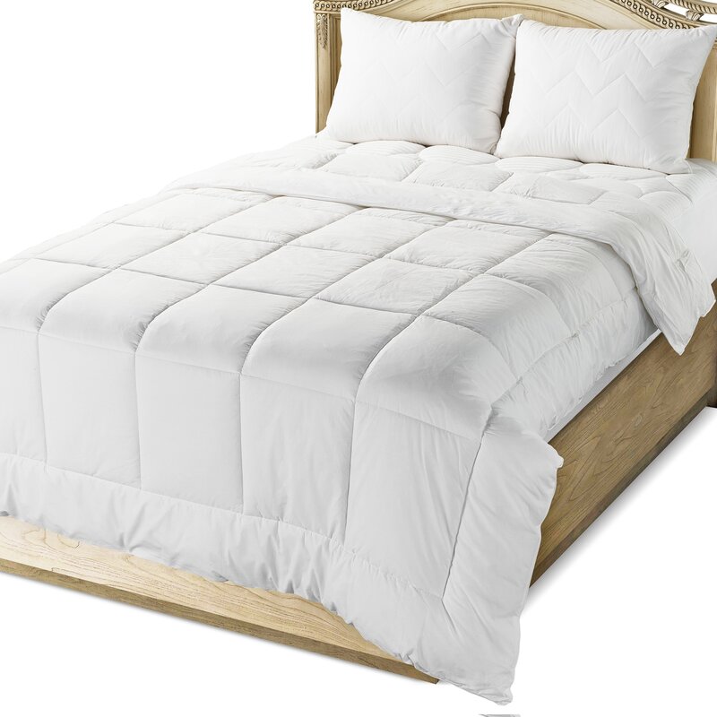 Right Choice Bedding Circles Home Comforter & Reviews | Wayfair