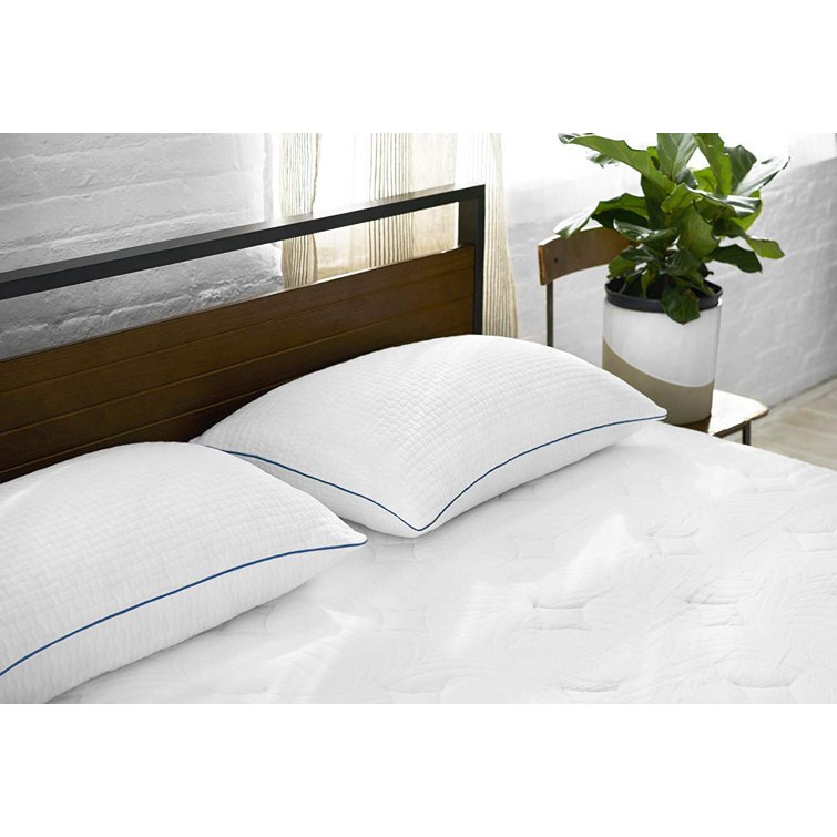 serta shredded memory foam pillow