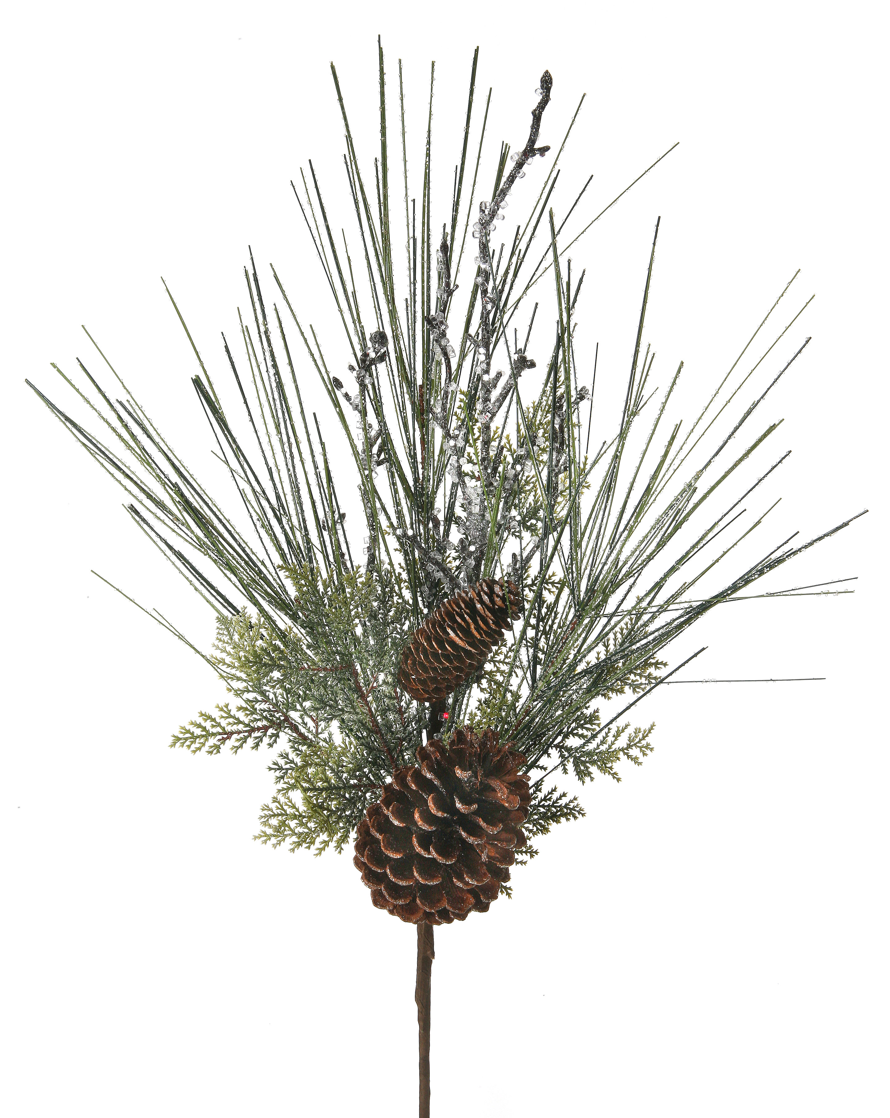 Primrue Frosted Long Needle Pine Cone Pick Wayfair