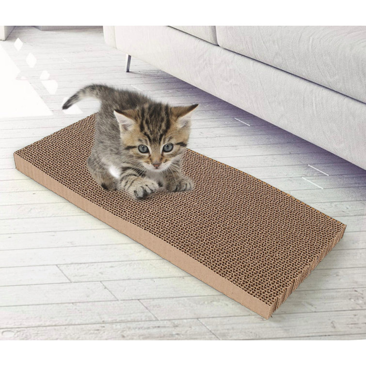 carpet protector from cats