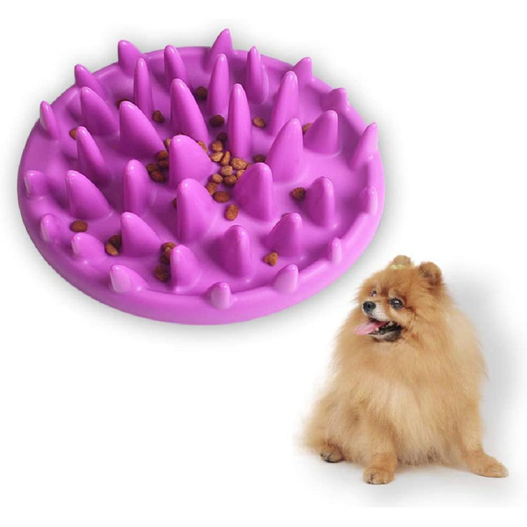 catch interactive feeder