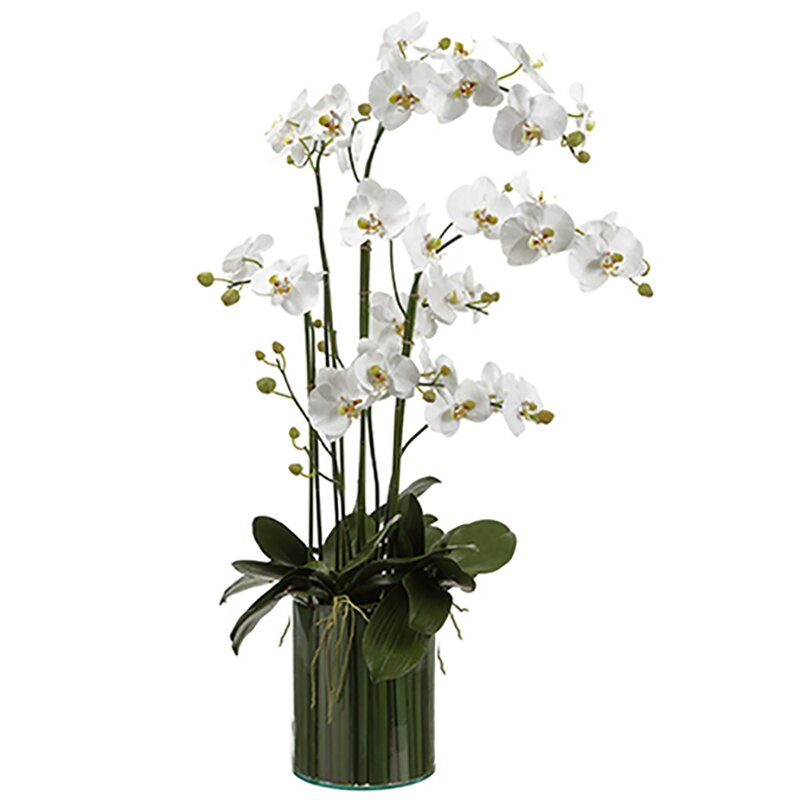 buy silk orchids