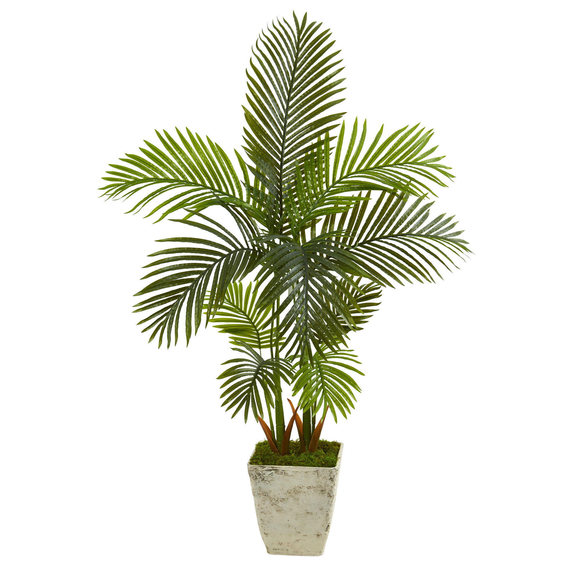 Bayou Breeze Artificial Palm Tree in Planter Wayfair