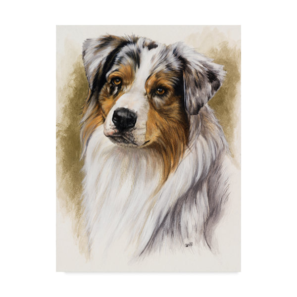 Trademark Art Australian Shepherd Oil Painting Print On Wrapped