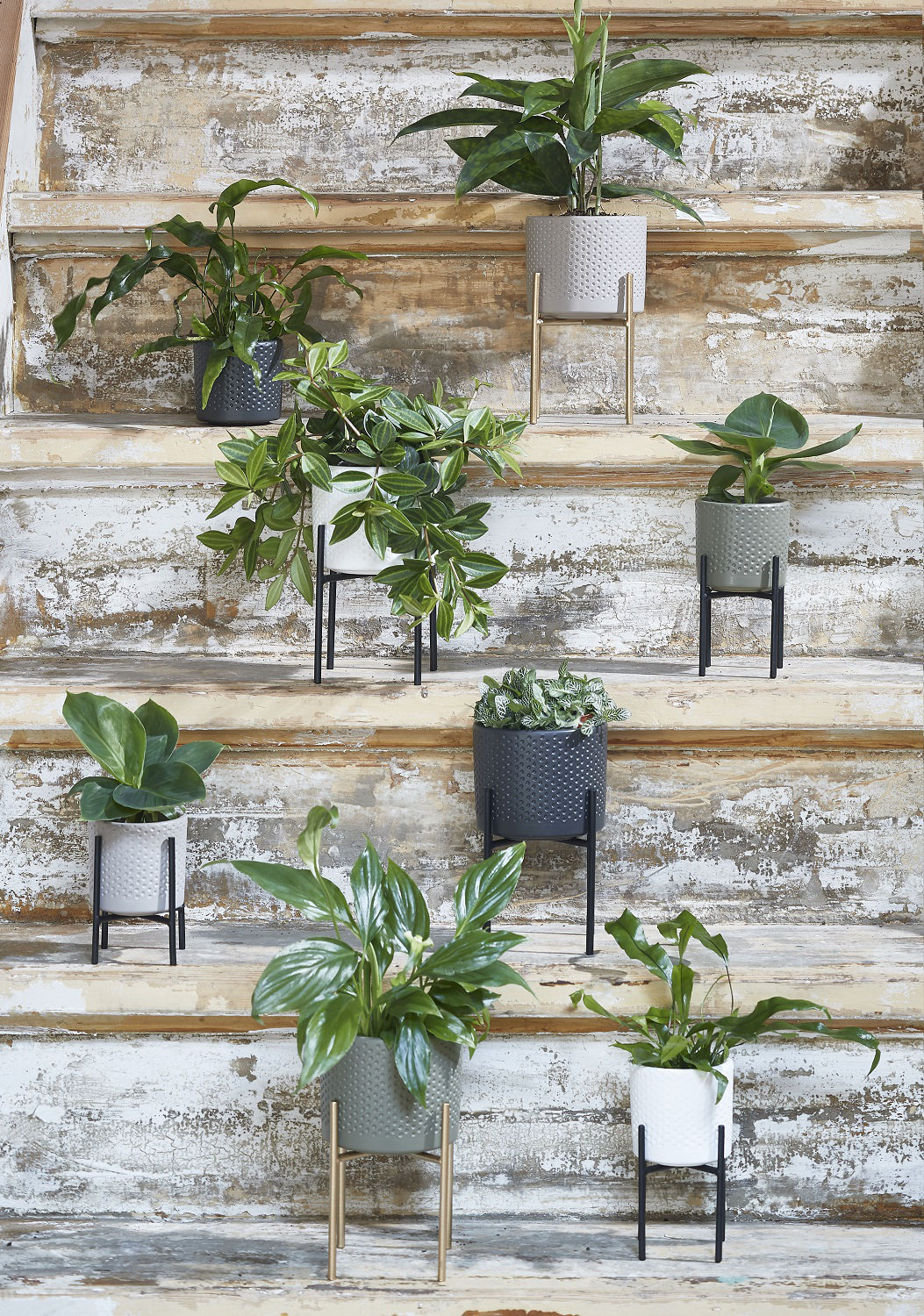 wayfair standing planter on Gold Flamingo Polly 42 Piece Ceramic Pot Planter Set Wayfair