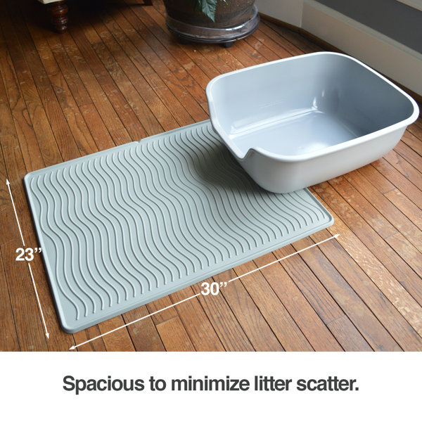 braided nylon dog collar