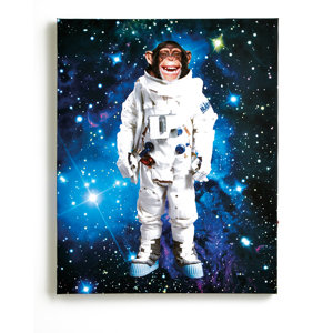 Space Monkey Wall Canvas Art