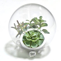 Gold Eagle USA 13 Artificial Mix Succulent W/Rock Terrarium Bowl Gold Eagle USA 13 Artificial Mix Succulent W/Rock Terrarium Bowl