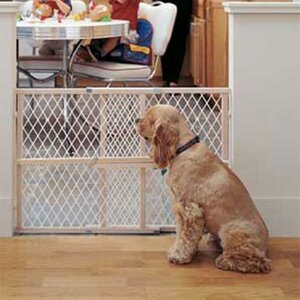 Diamond Mesh Gate