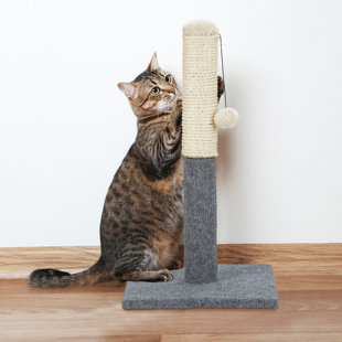 alberto cat scratching post