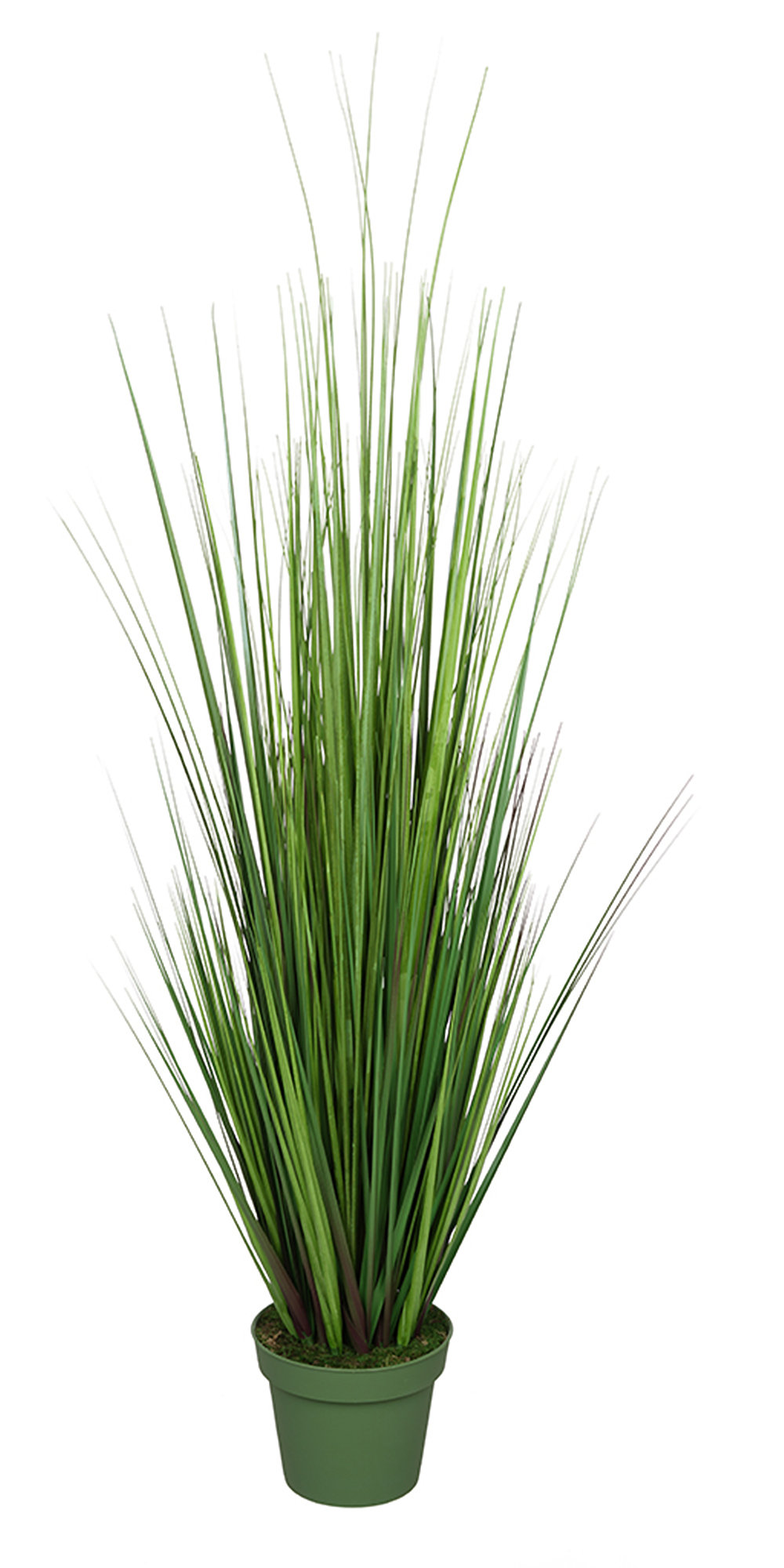 Longshore Tides Faux Reed Grass in Vase & Reviews Wayfair