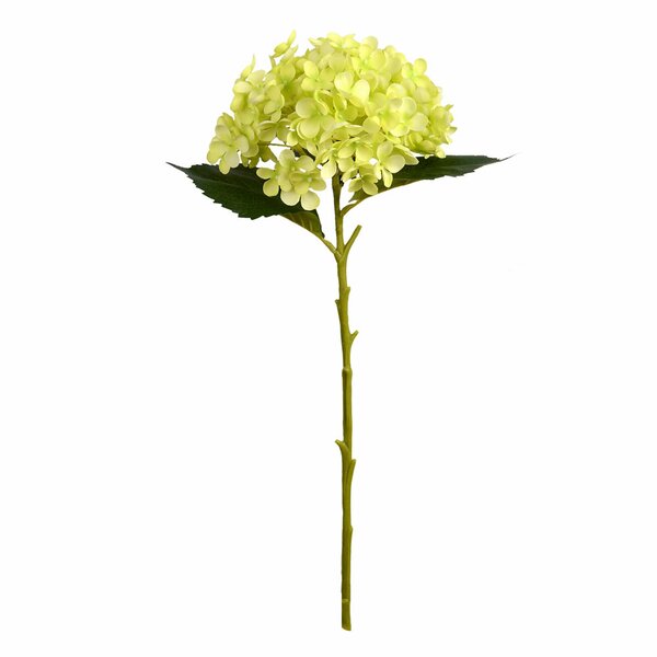 Scabiosa Flower Stem~Pale Green~28" T~Silk/PVC Artificial 