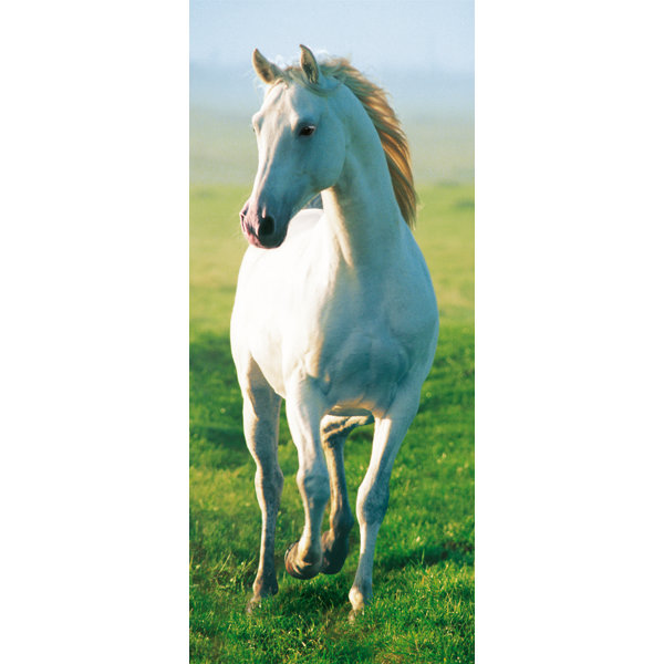 Horse Wall Murals brewster home fashions ideal decor horse wall mural & reviews Horse Wall Murals brewster home fashions ideal decor horse wall mural & reviews