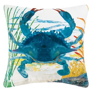 Graydon Coastal Indoor/Outdoor Throw Pillow