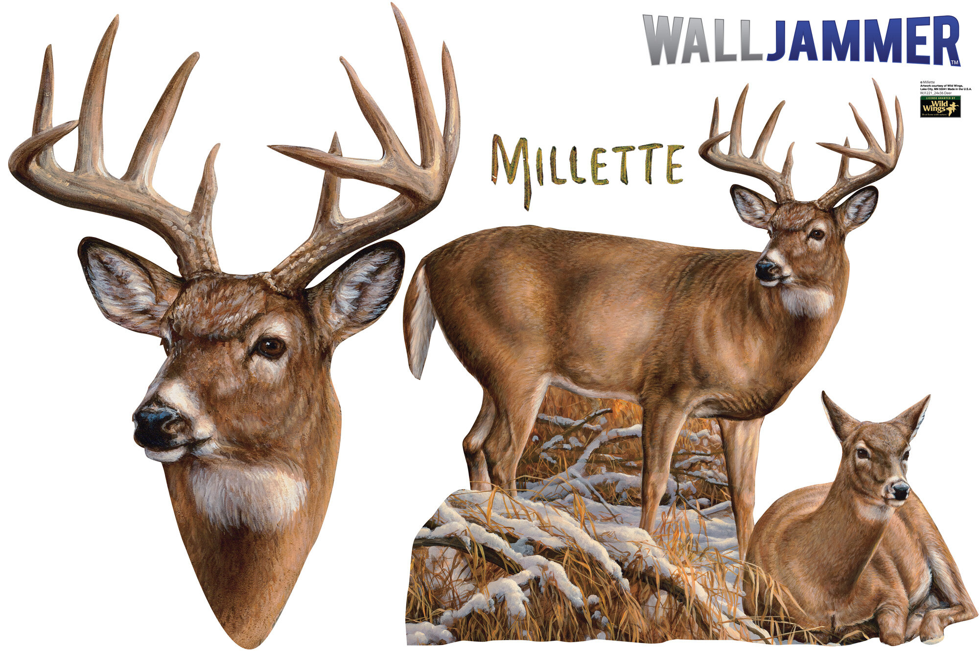 Advanced Graphics Cabela's Deer Wall Decal & Reviews | Wayfair