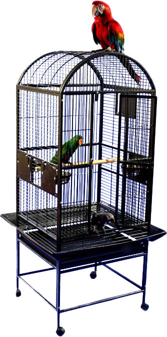 medium parrot cage