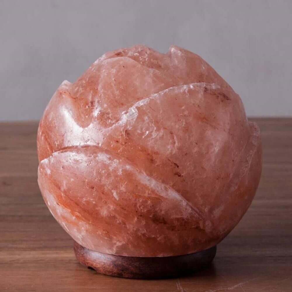 wayfair salt lamp