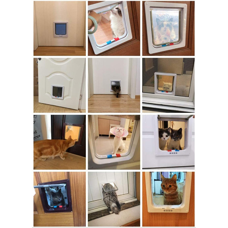 exterior cat door