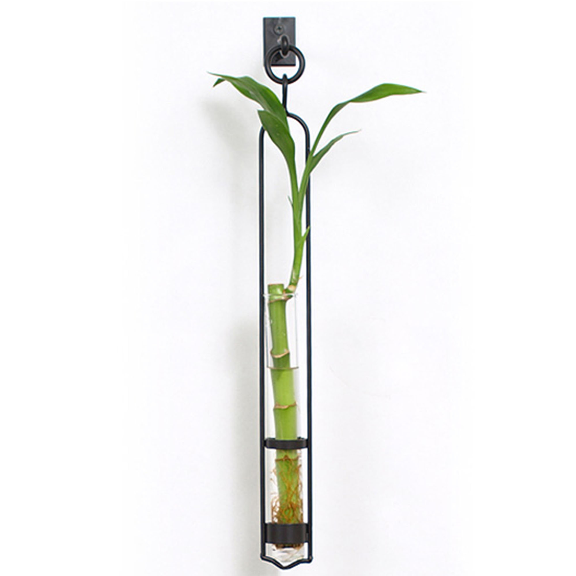 Fleur De Lis Living Callender Glass Wall Vase & Reviews Wayfair