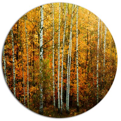 'Yellow Colorful Autumn Forest' Photographic Print on Metal DesignArt Size: 38