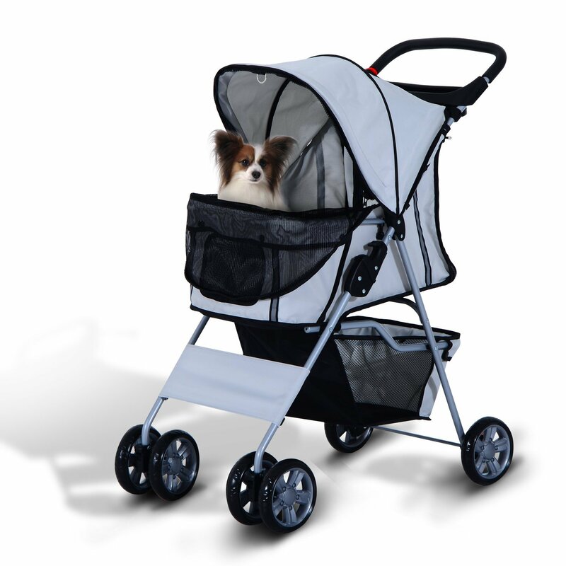 dog in buggy