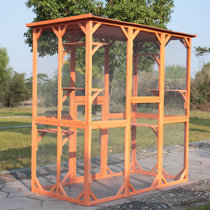 wayfair catio