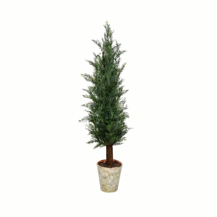 Primrue Artificial Potted Cedar Tree Full | Wayfair