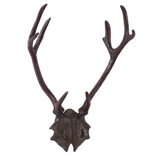 Antlers Wall Decor Wayfair Antlers Wall Décor