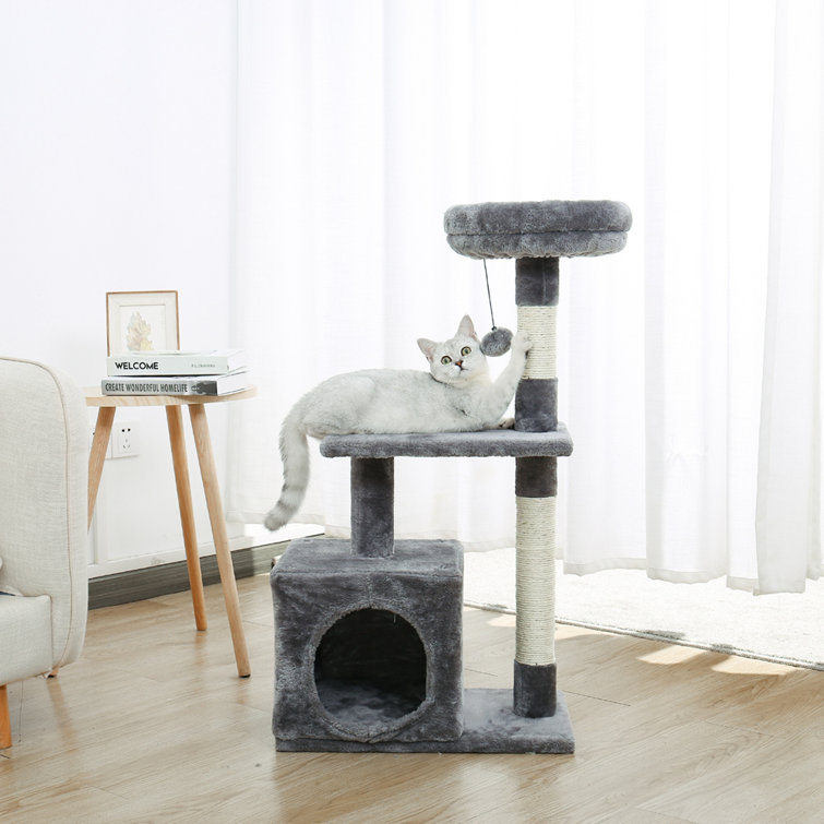 cat climbing frames