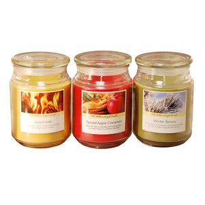 3 Piece Holiday Collection Scented Jar Candle Set