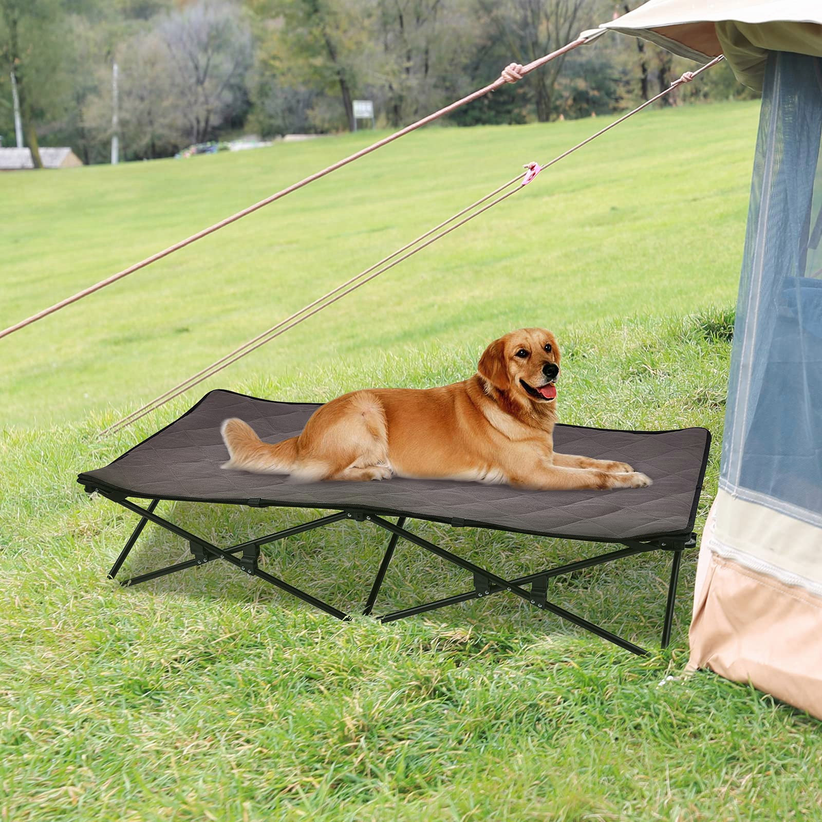 large dog bed with roof