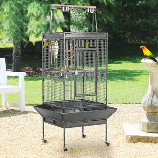 Bird Toy Parrot Cage Cockatiels Cages African Grey Conures Macaw Aviary 