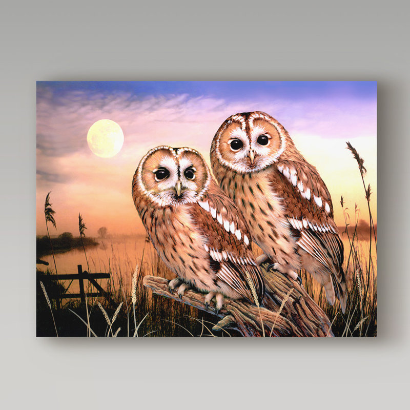 Trademark Art Two Owls Acrylic Painting Print On Wrapped Canvas
