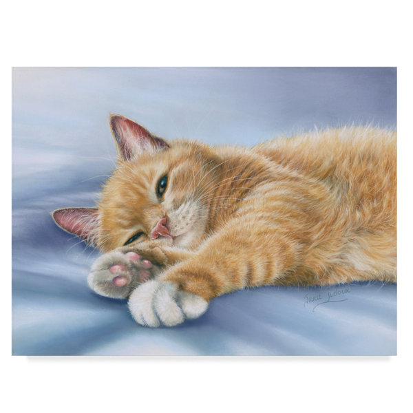 Trademark Art Jack Cat Acrylic Painting Print On Wrapped Canvas