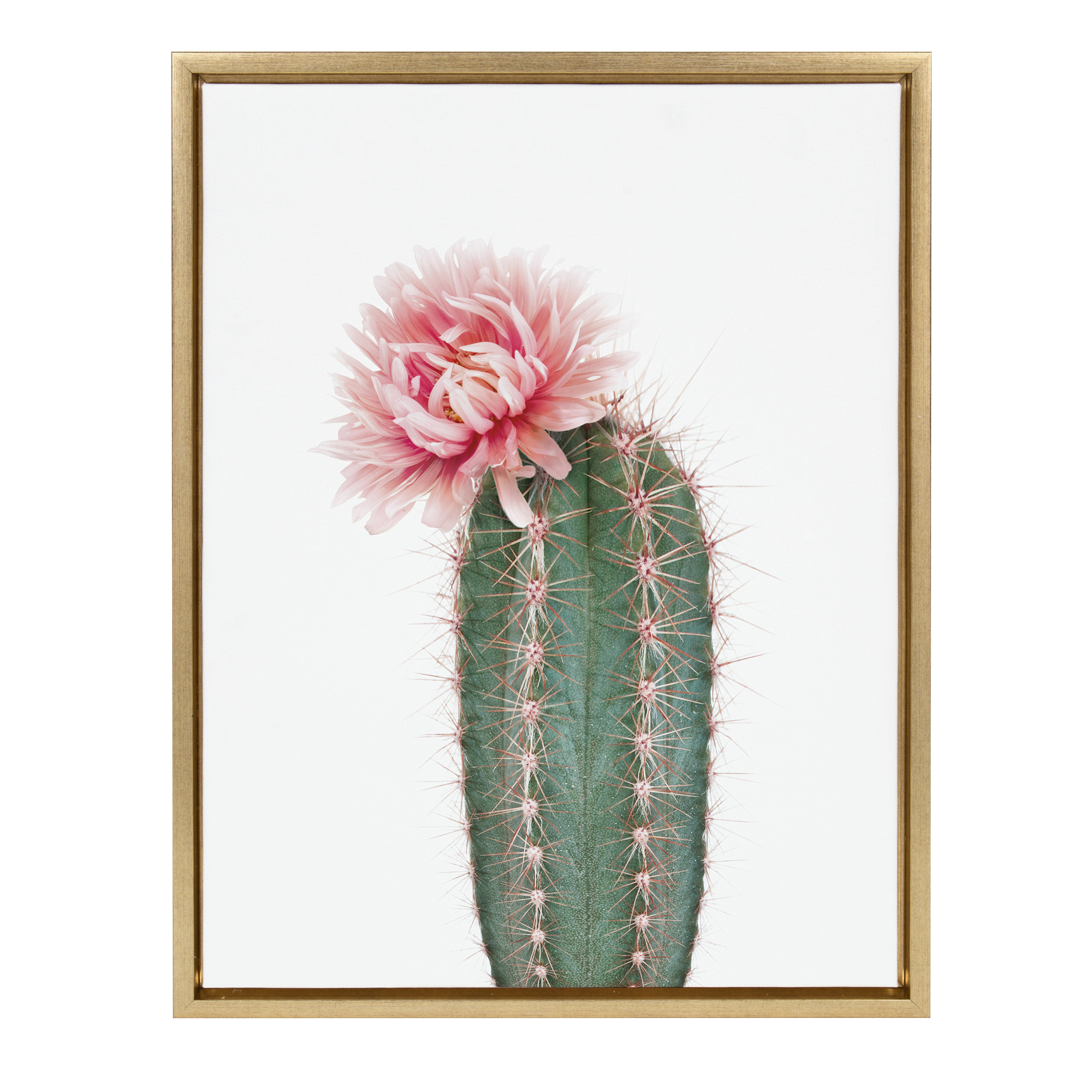 cactus flower painting