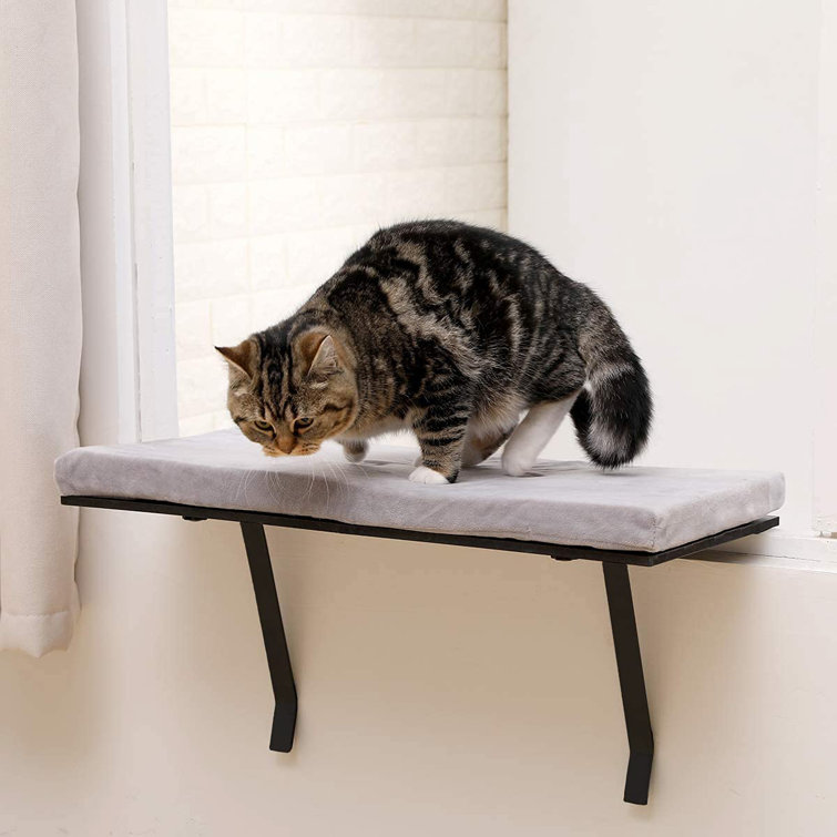 memory foam window perch
