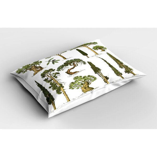 The Pillow Collection Fderik Trees Bedding Sham Toffee European/26 x 26 
