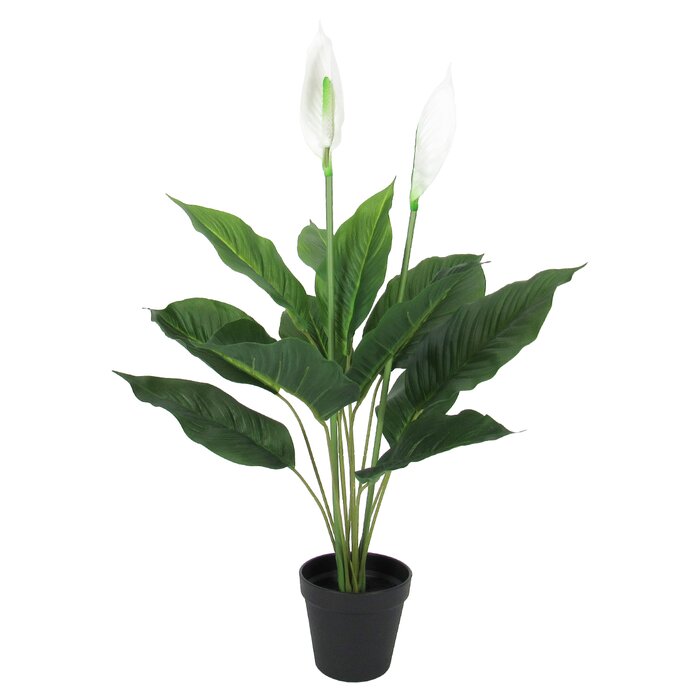 Primrue Artificial Peace Lily Plant in Pot | Wayfair