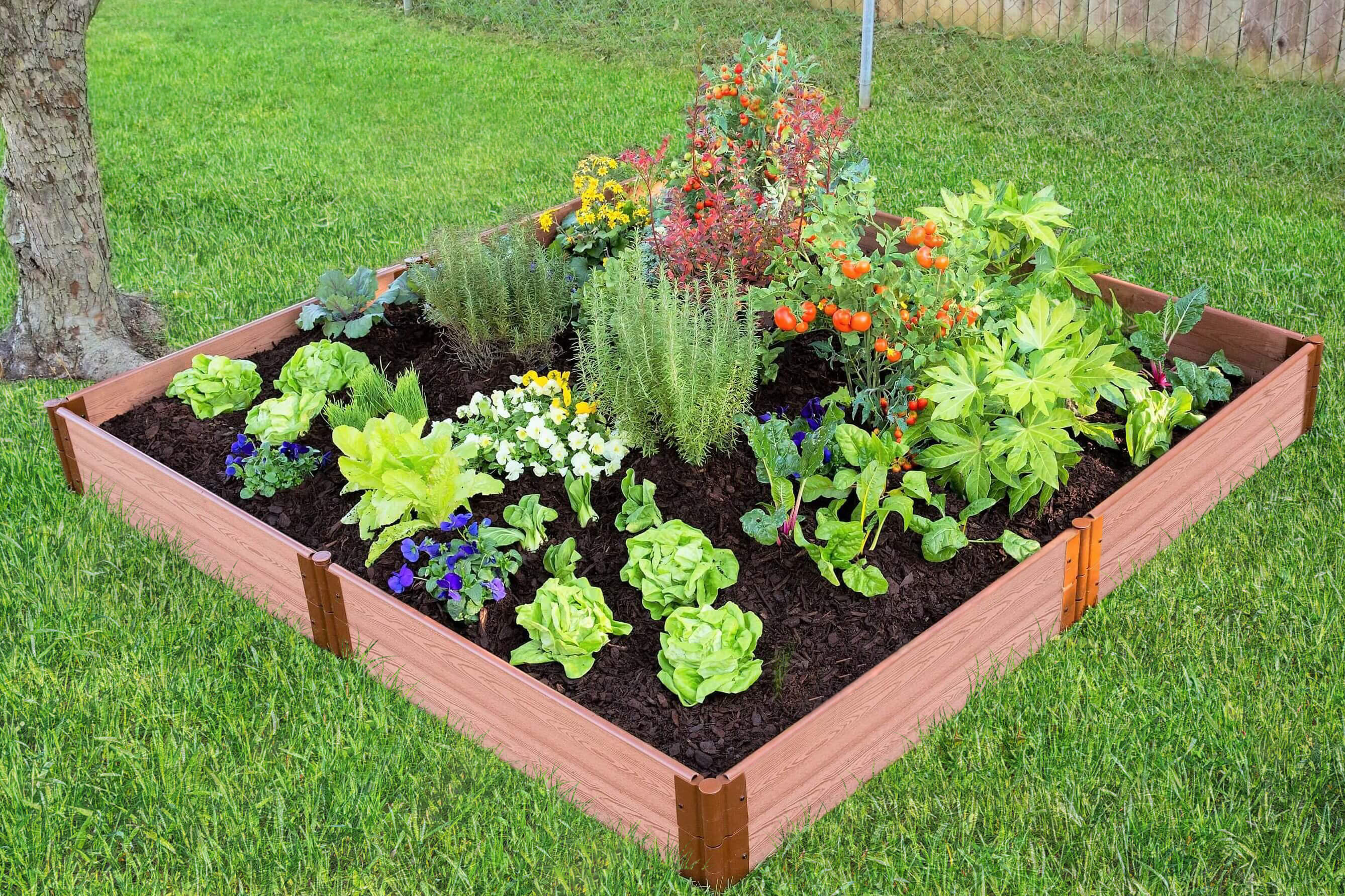 Frame It All Tool Free Classic Sienna One Inch Series 8 Ft X 8 Ft Composite Raised Garden Wayfair