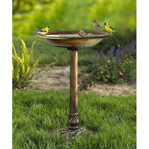 Birds Choice Classic Tube Bird Feeder Reviews Wayfair