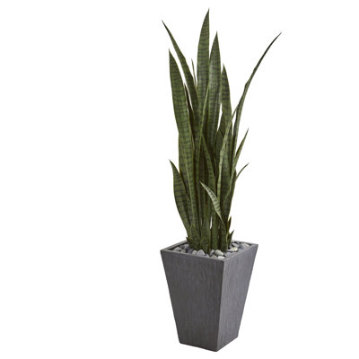 57" Artificial Snake Plant in Planter