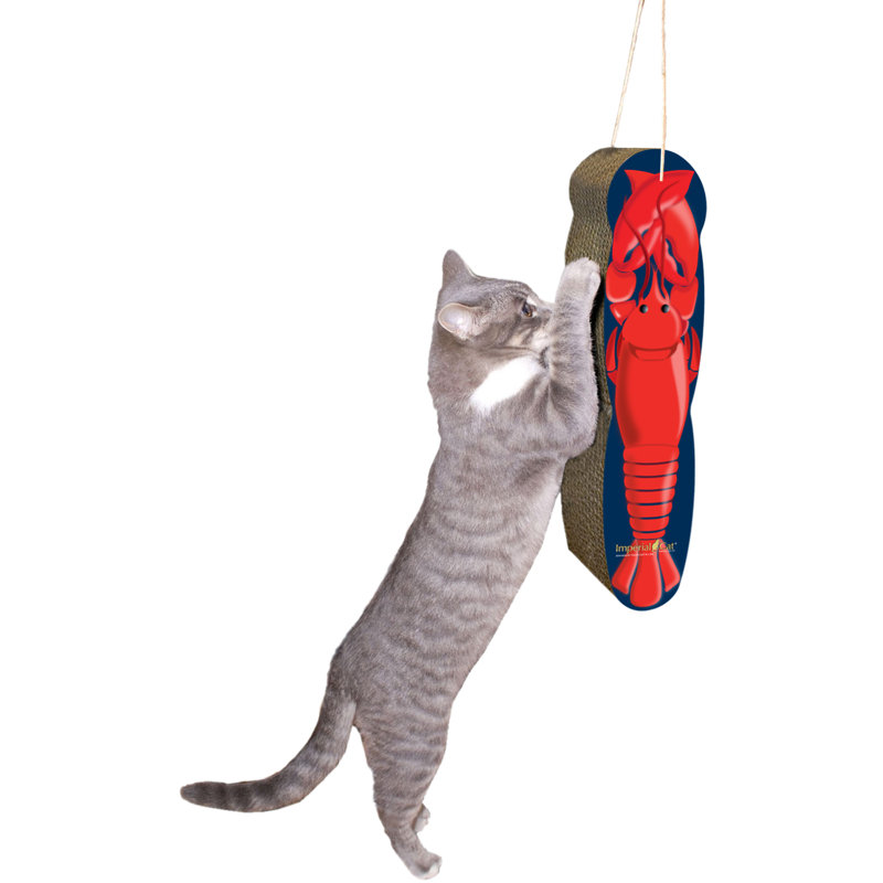 hanging scratching post